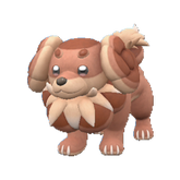 Shiny Dachsbun - thepokestar
